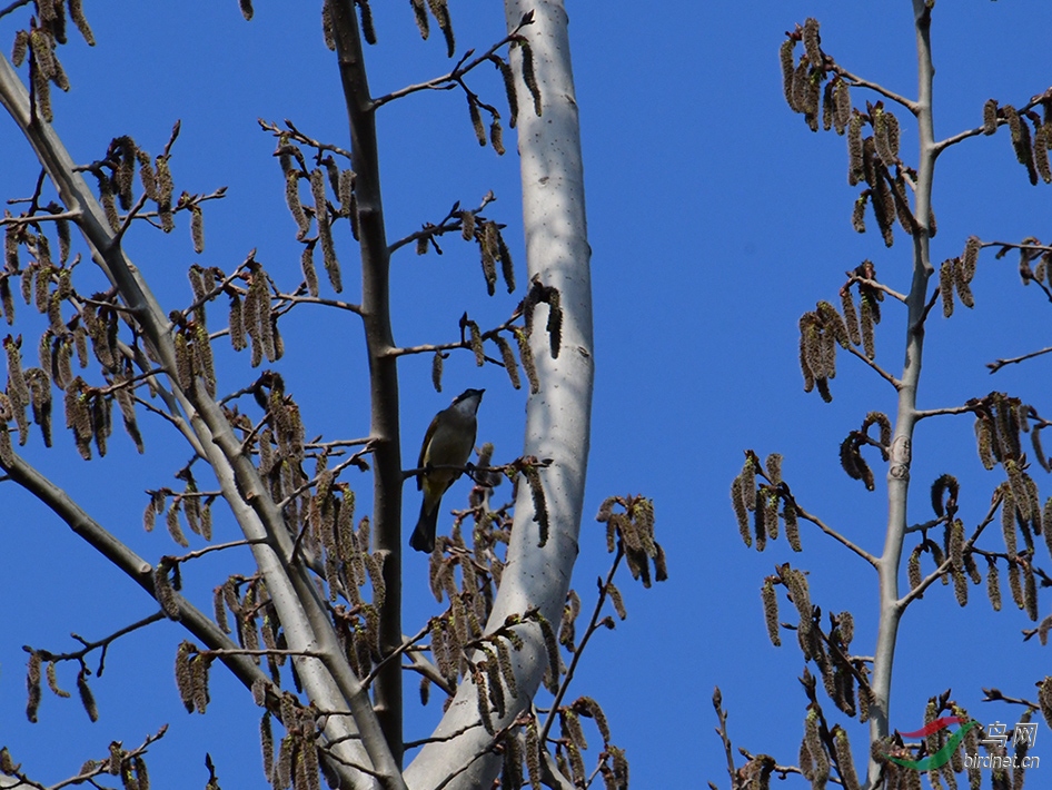 D50_2757.jpg