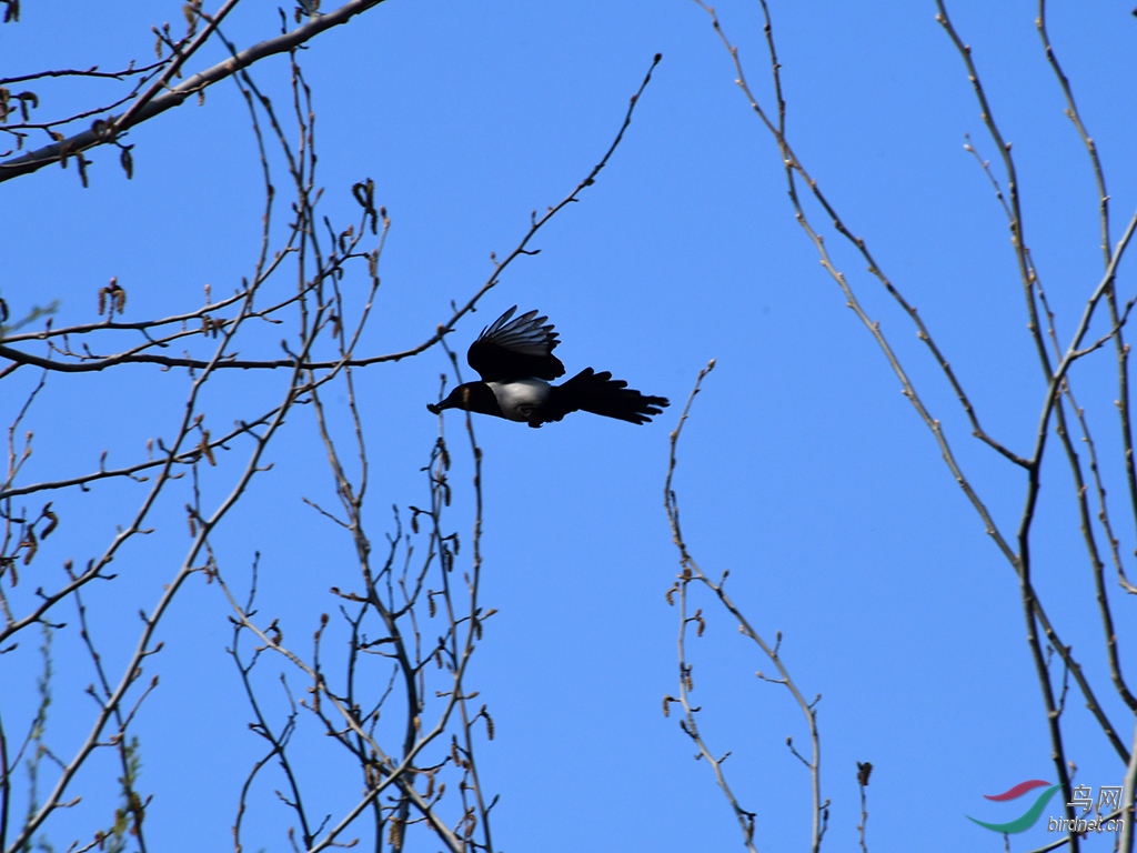 D50_2748.jpg