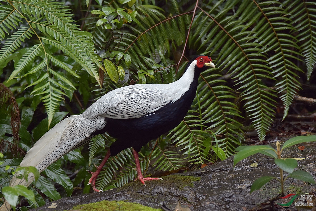 D72_8114.jpg
