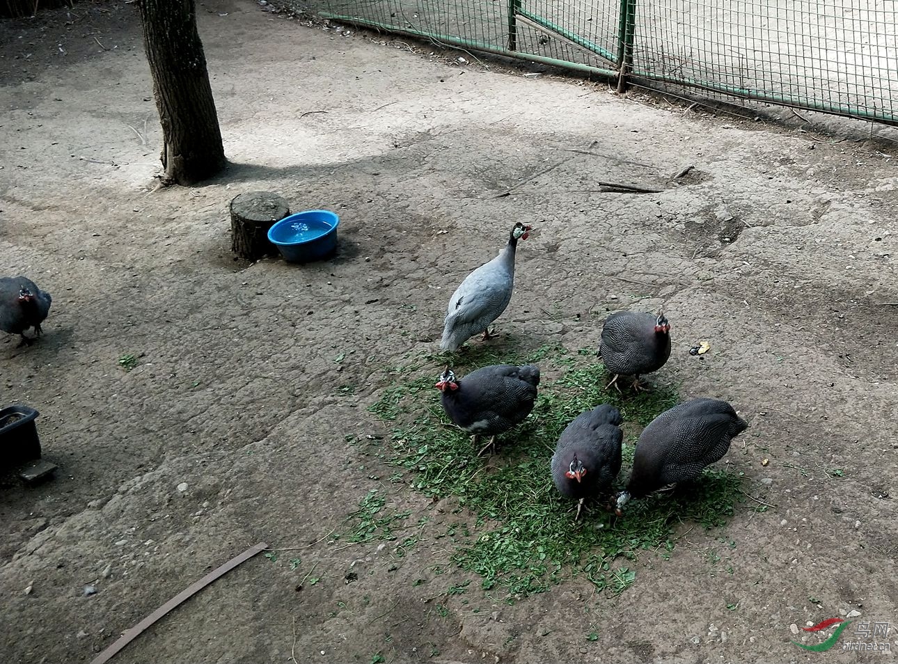 IMG20180726150657_����.jpg