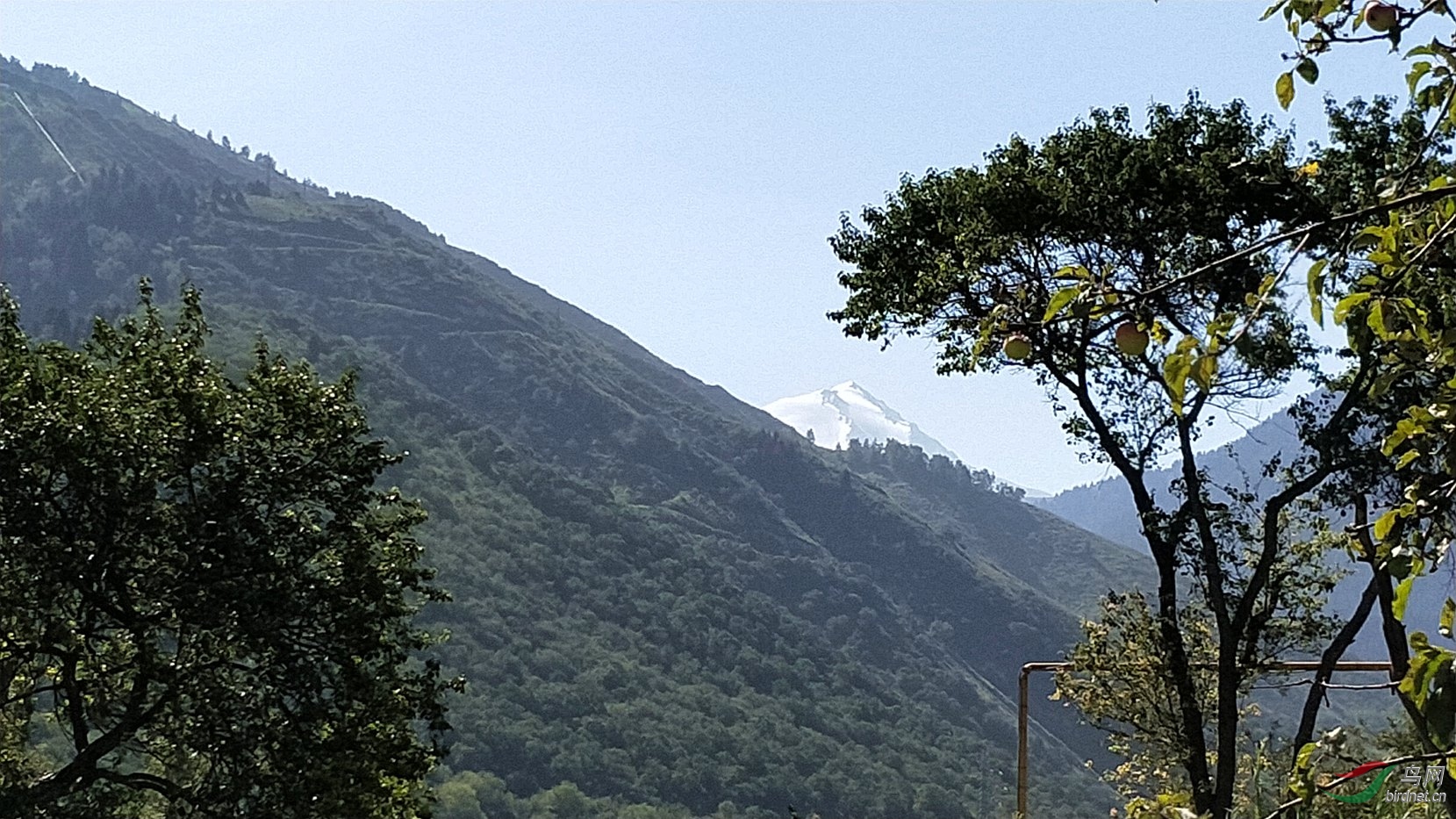 IMG20180727094708_����.jpg