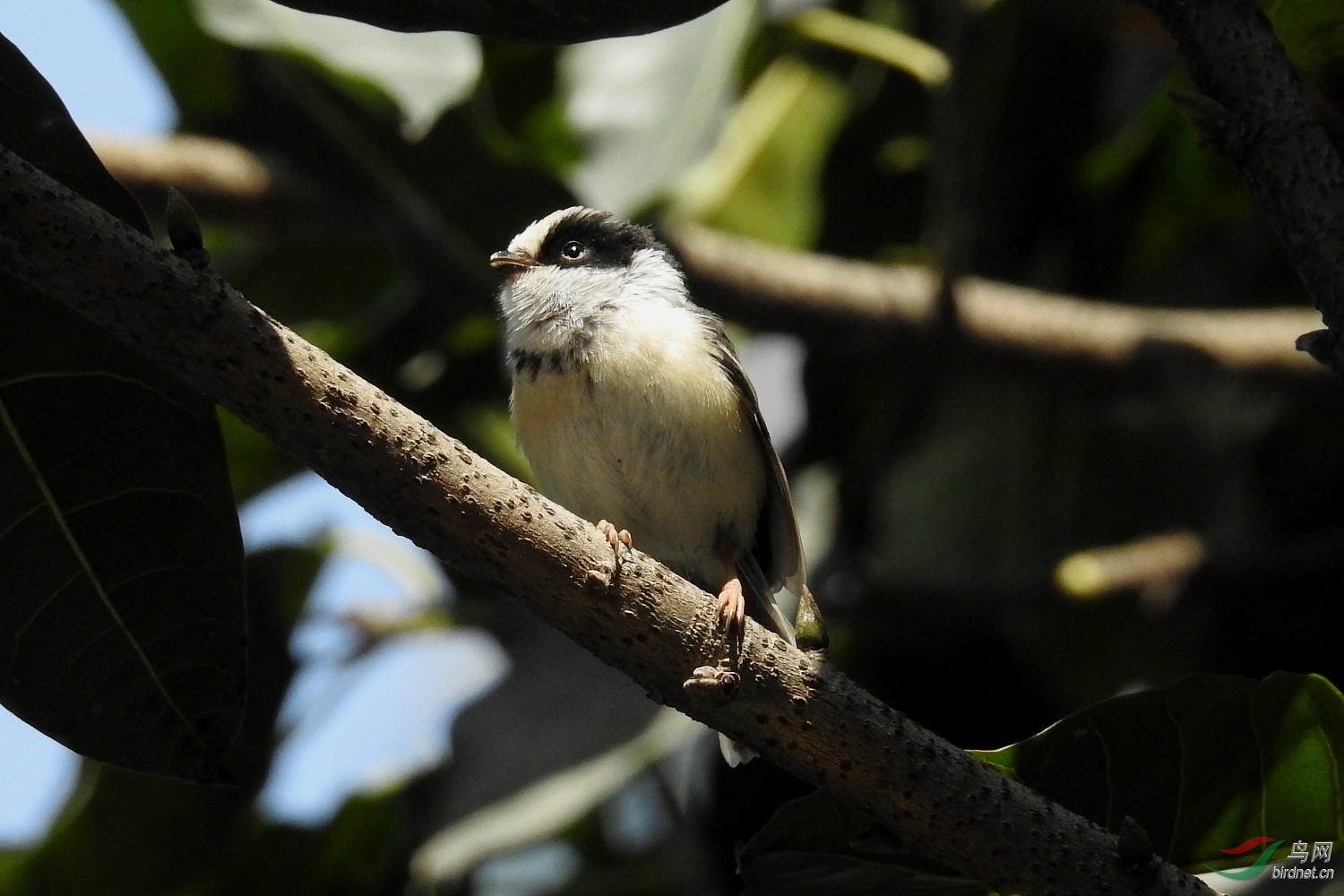 DSCN8373.JPG