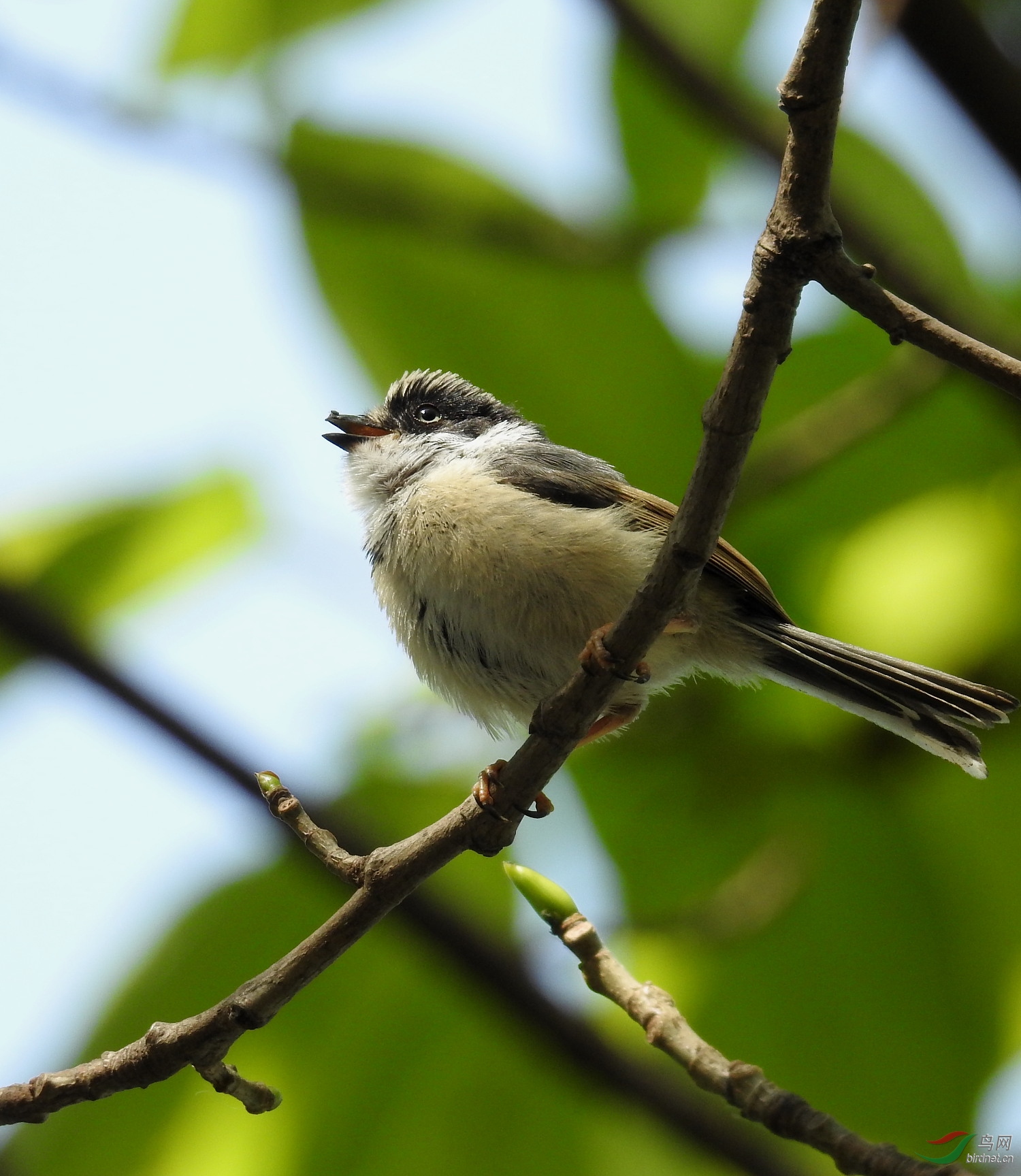 DSCN8338.JPG