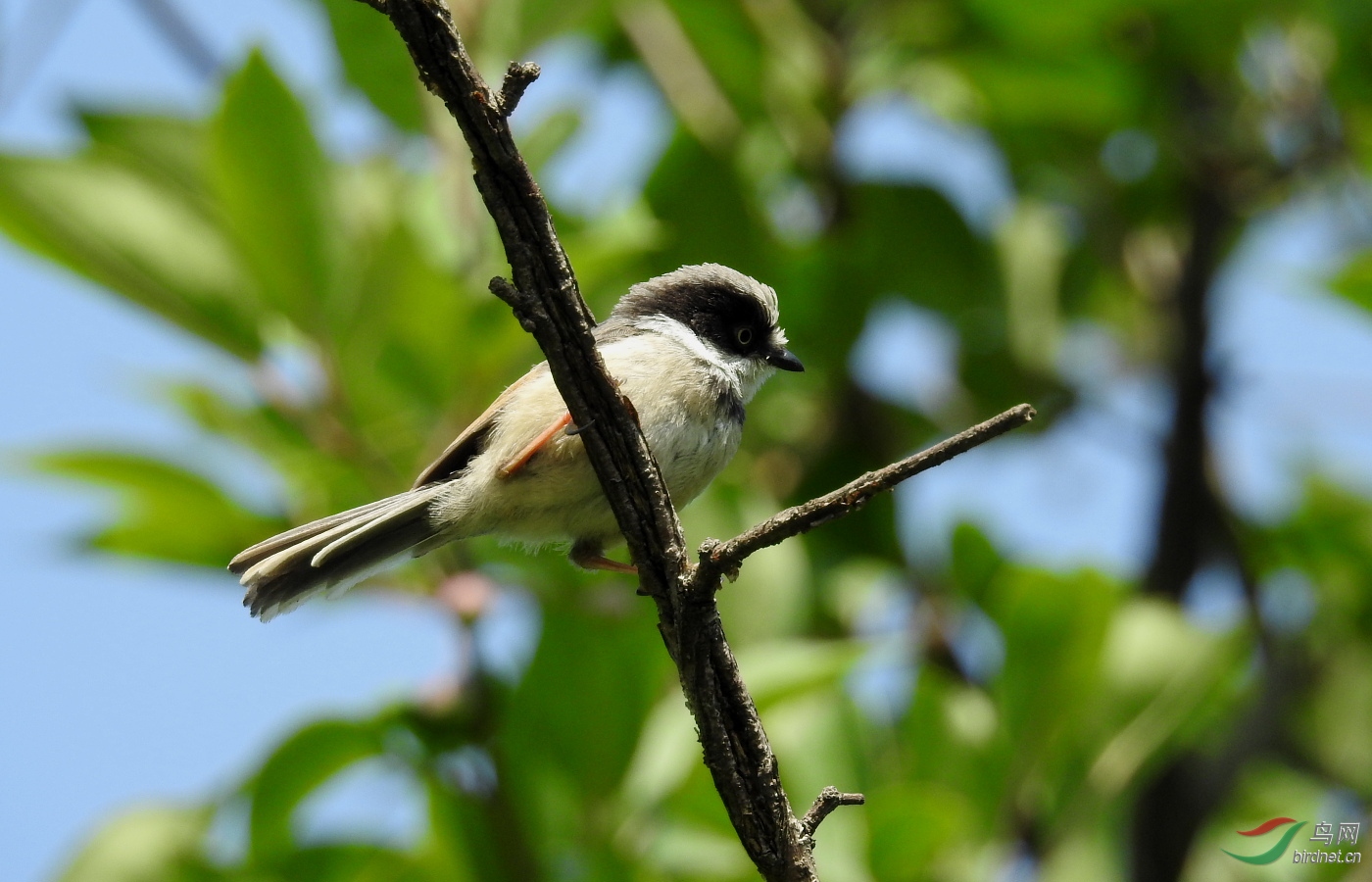 DSCN8670.JPG