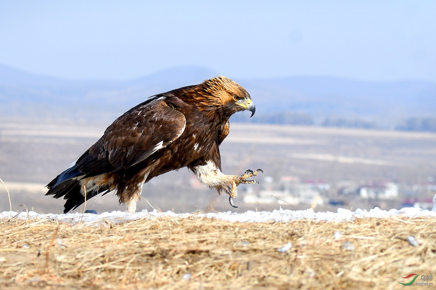 6.Ѱ�٣����5134AM.jpg