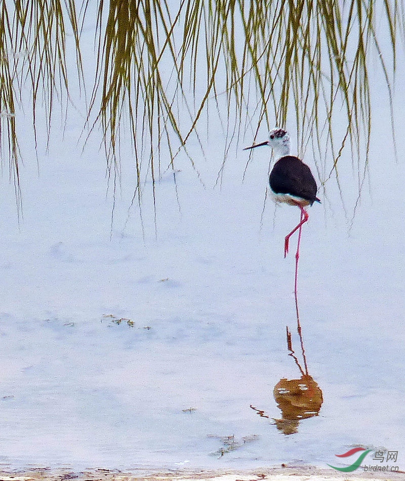 P1010547.JPG