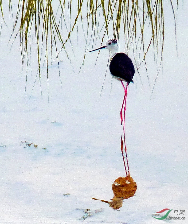 P1010548.JPG
