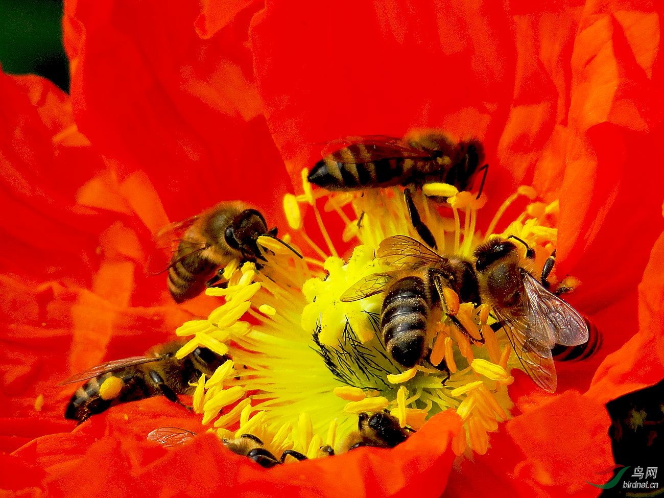 ��Ƭ 14158_����.jpg