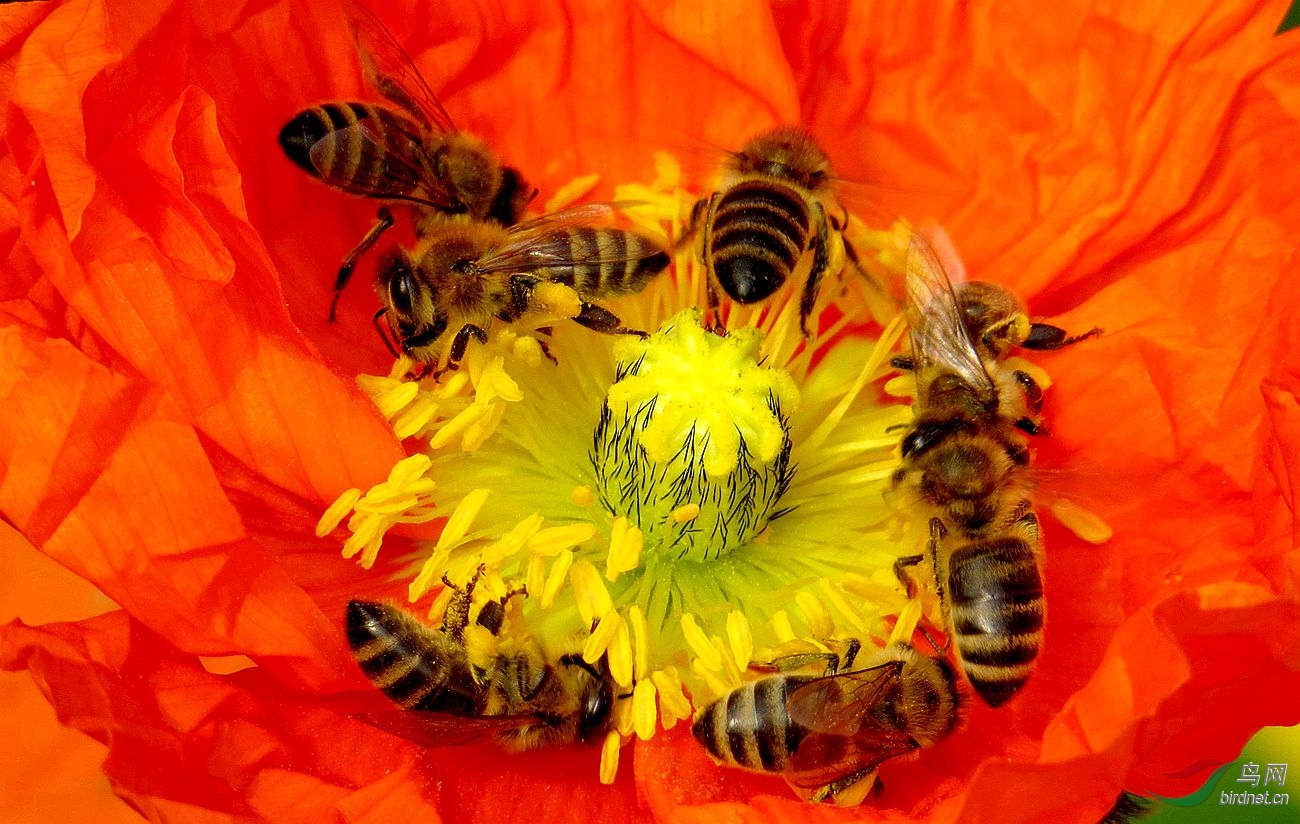 ��Ƭ 14133_����.jpg