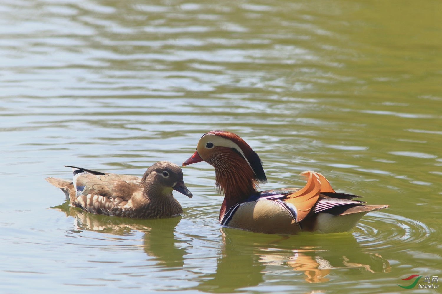 03ԧ��_55A3053 (1).JPG