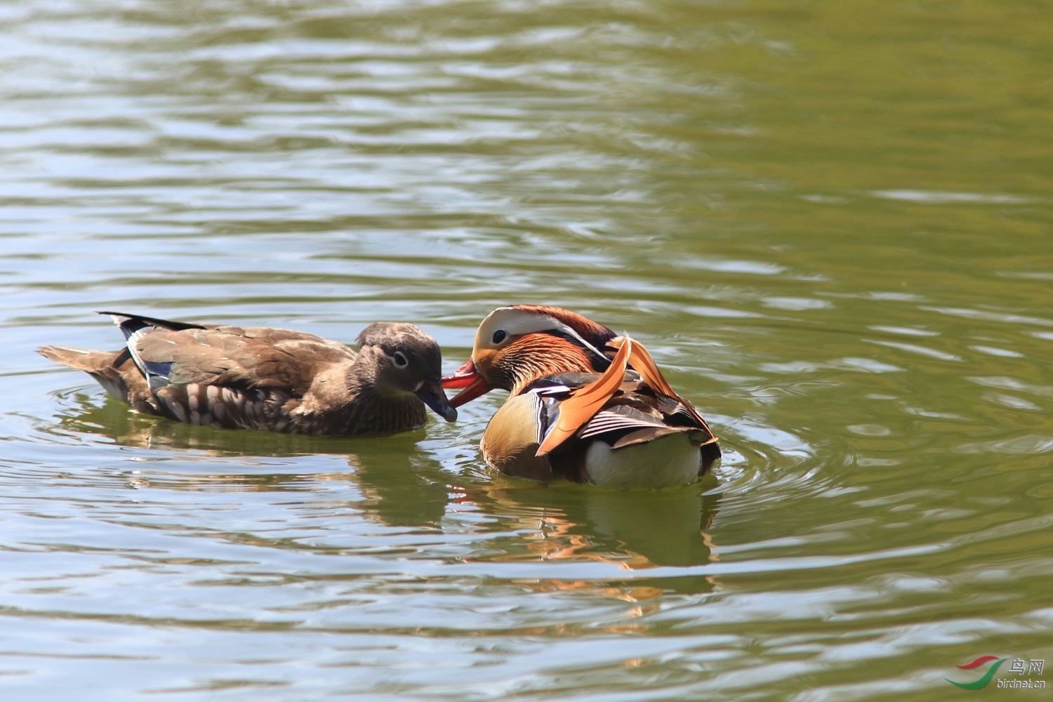 05ԧ��_55A3053 (2).JPG