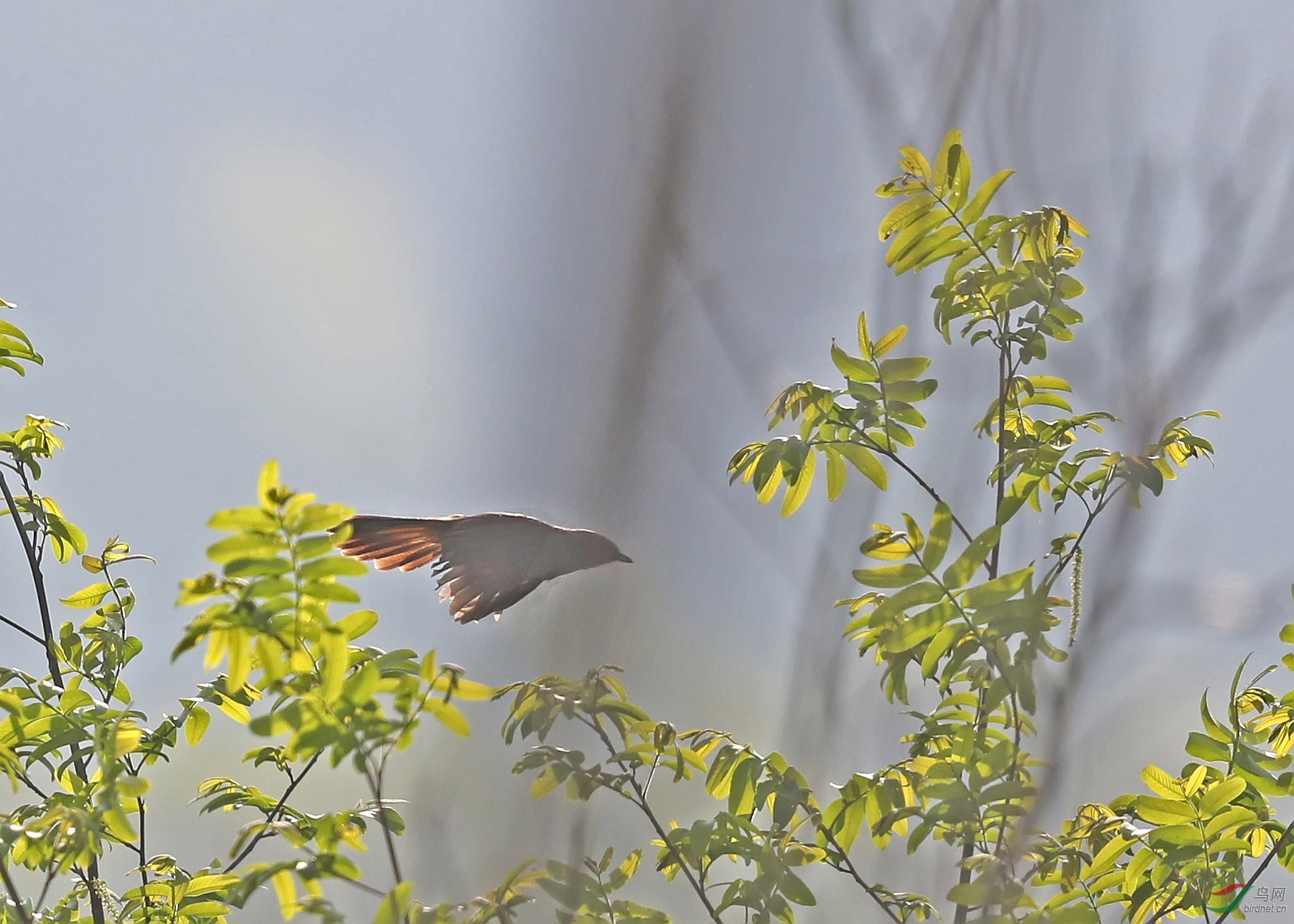 AI8I01-0263 ����.jpg