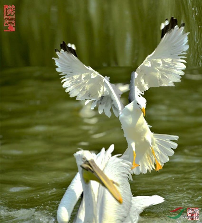 D24AD923-D9CB-40CC-A0E8-849536872A6D.jpeg