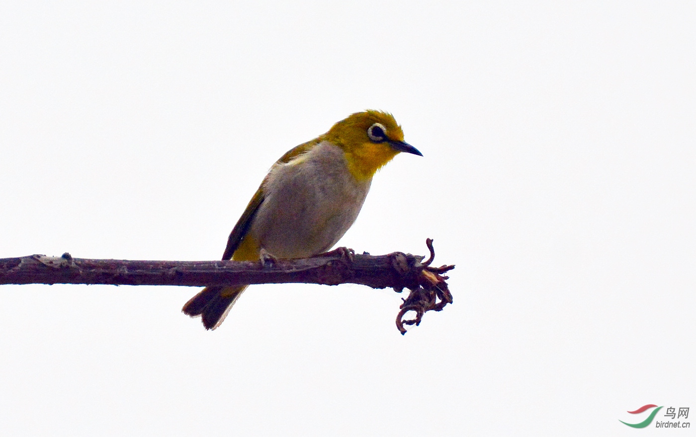 DSC_9214.JPG
