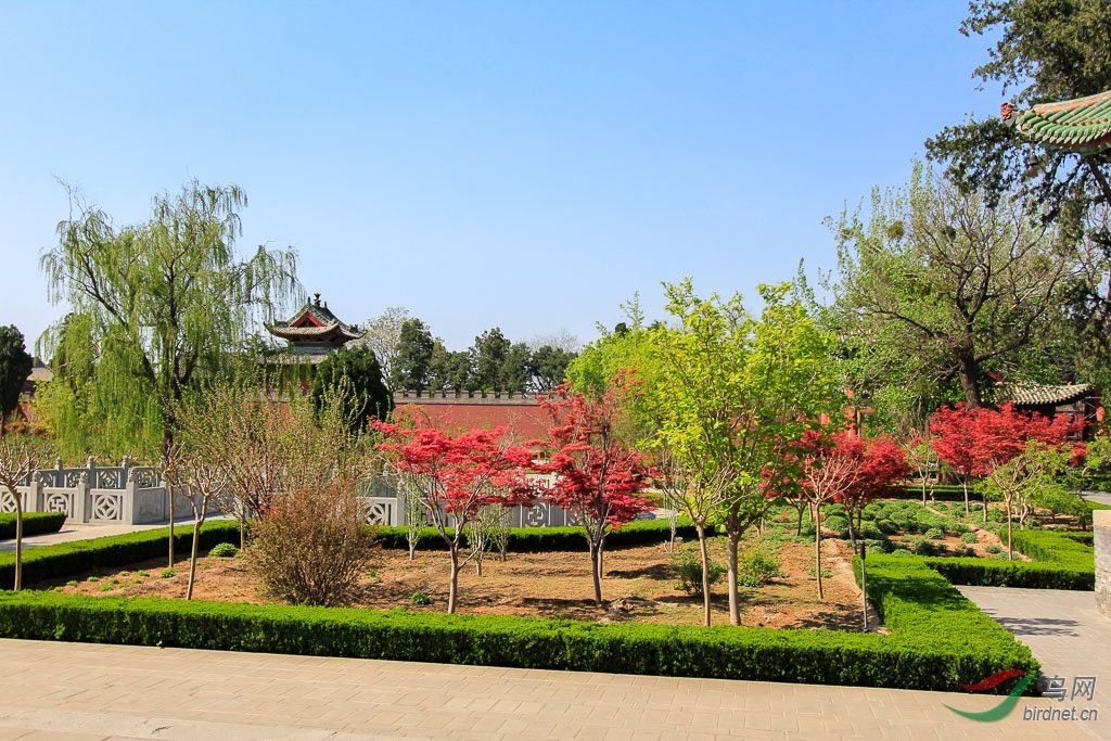 _MG_9338.jpg