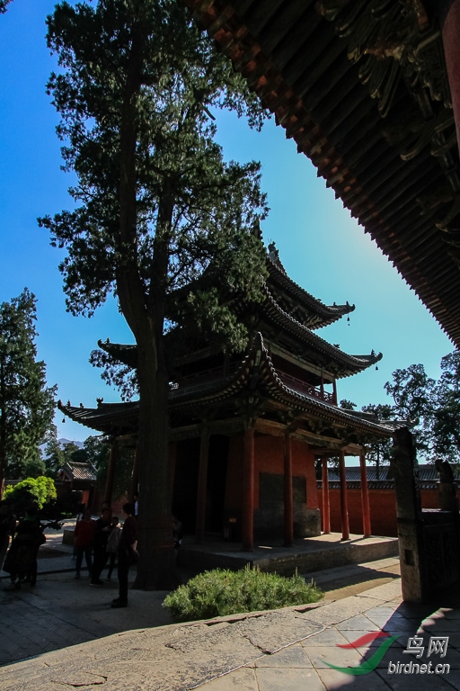 _MG_9446.jpg