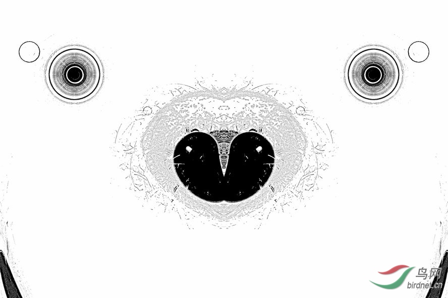AQ1I9290_����_����1_����1_����1_����1_����1_����1_����.jpg