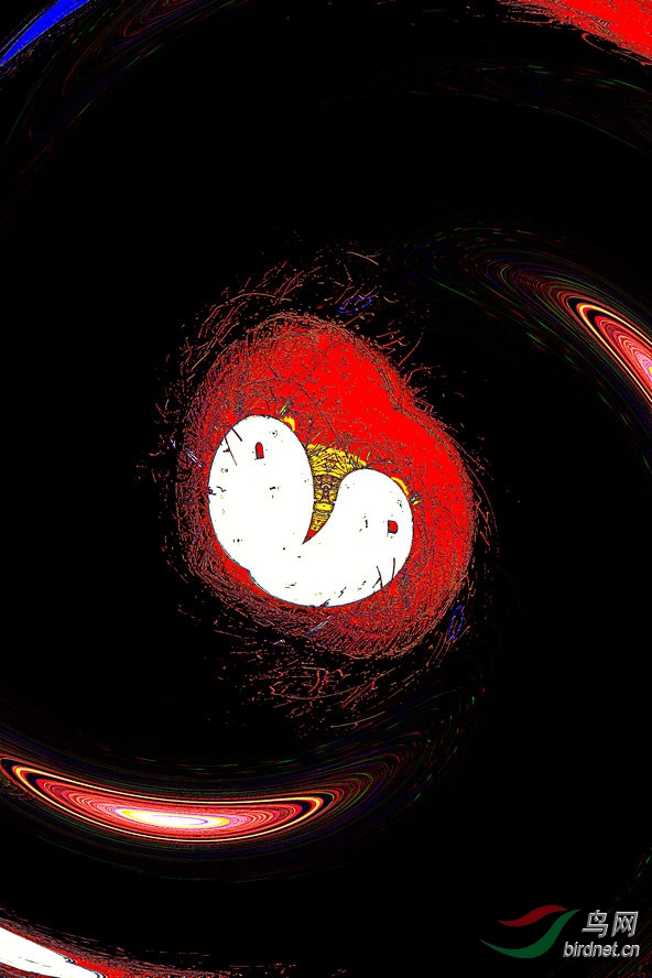 AQ1I9290_����_����2_����.jpg