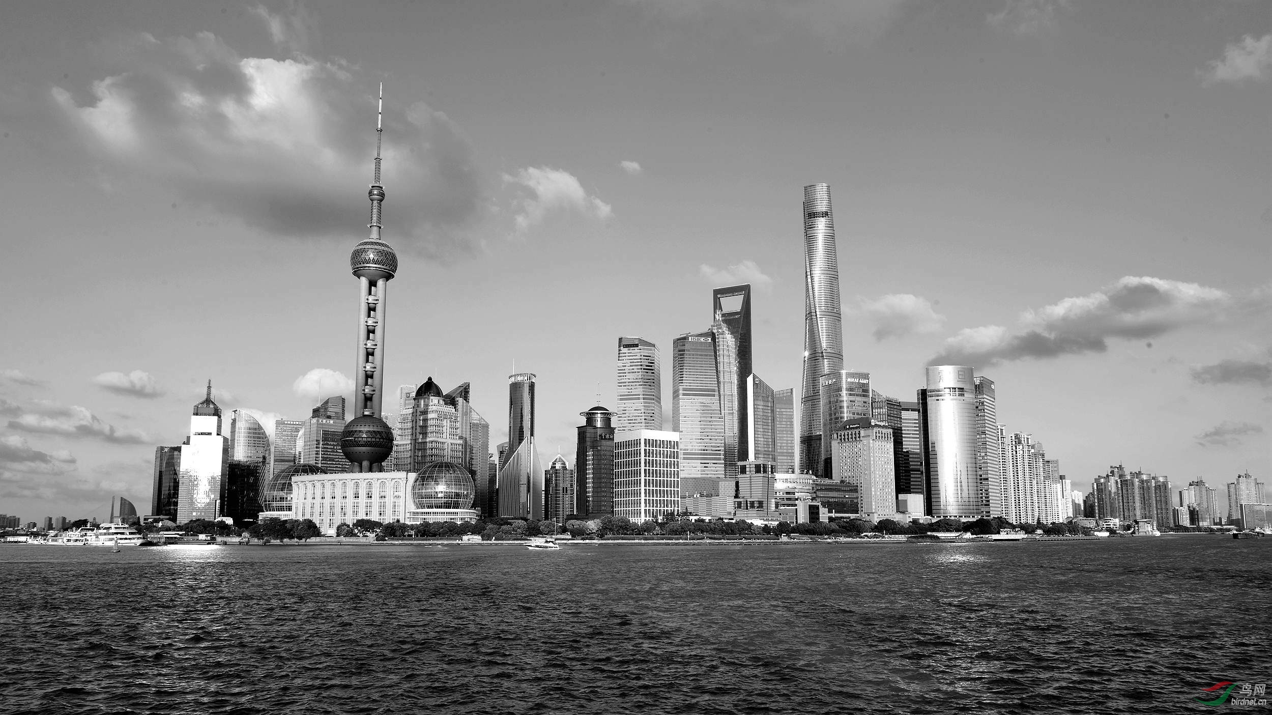浦东陆家嘴之风光-------祝贺荣获黑白影像首页精华!