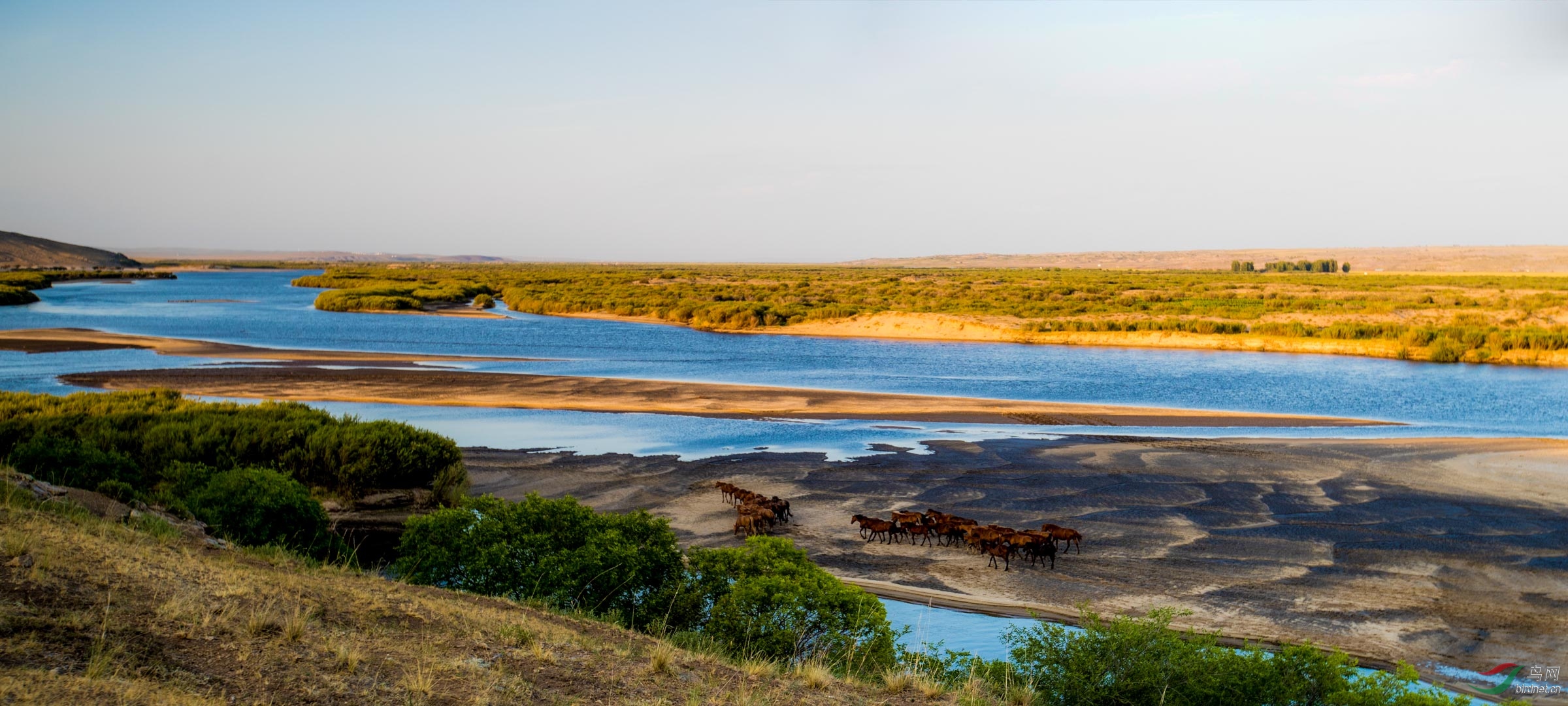 [风光] 中俄跨国湿地---领航