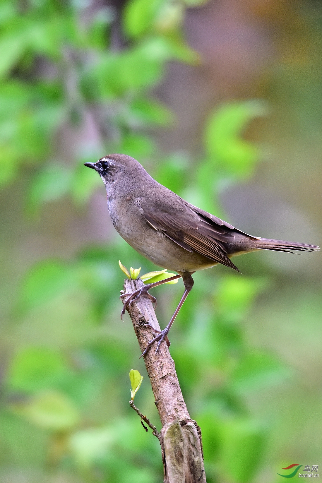 DSC_0038.JPG