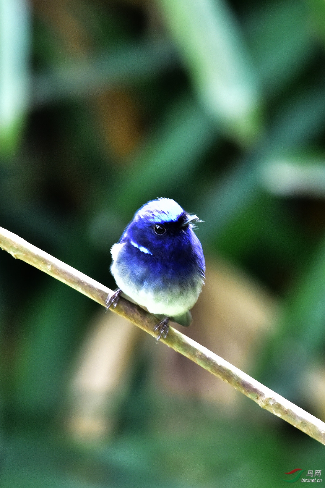 DSC_0041.JPG