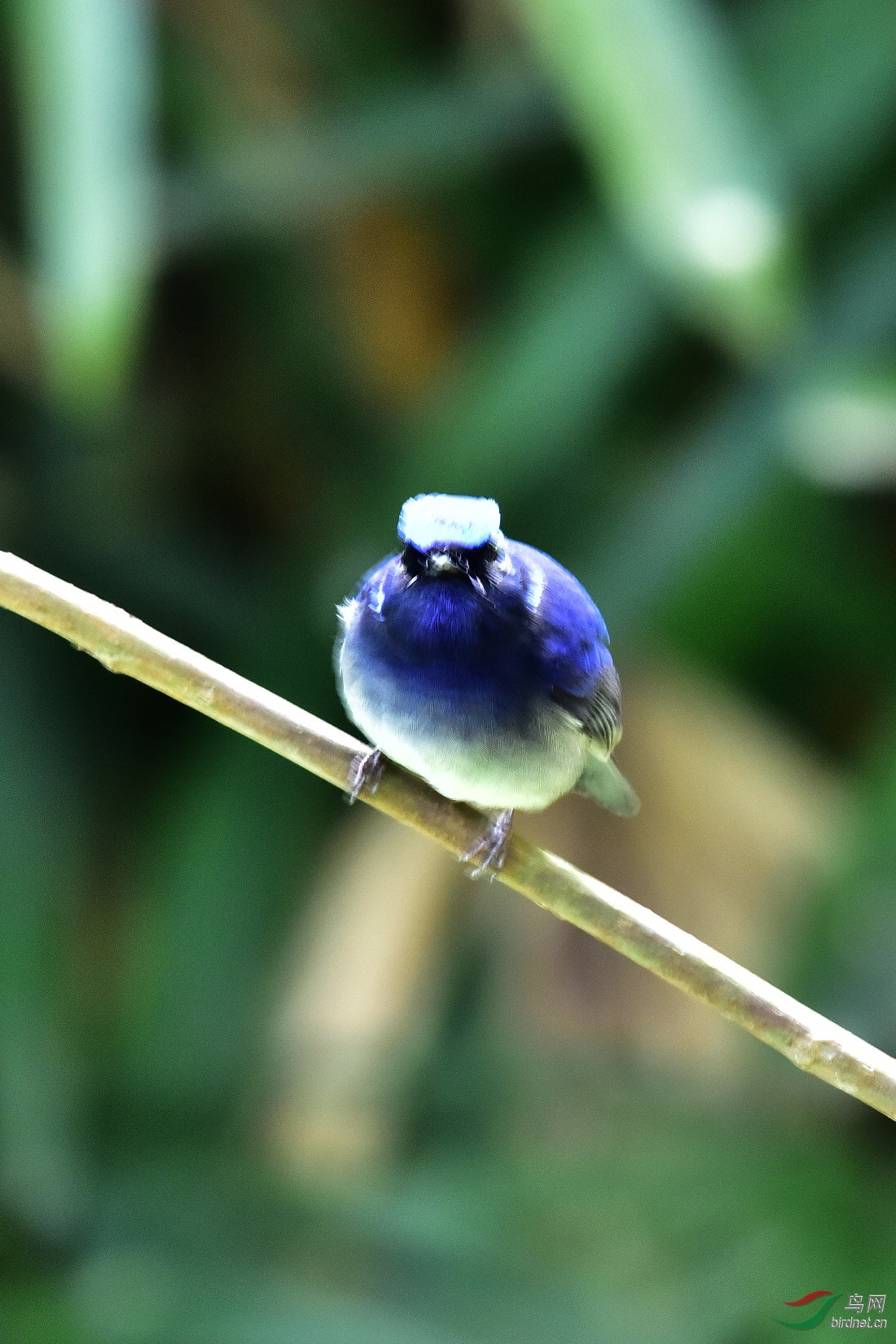 DSC_0043.JPG