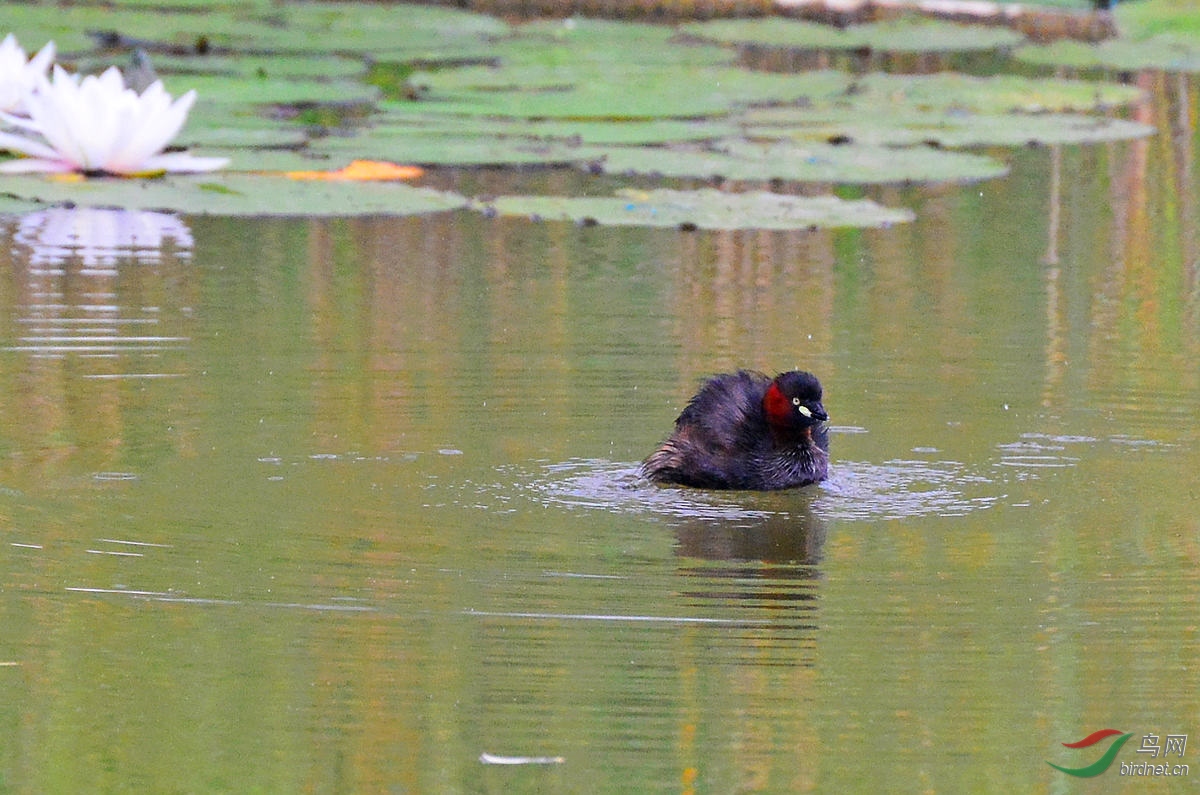 DSC_3314.JPG