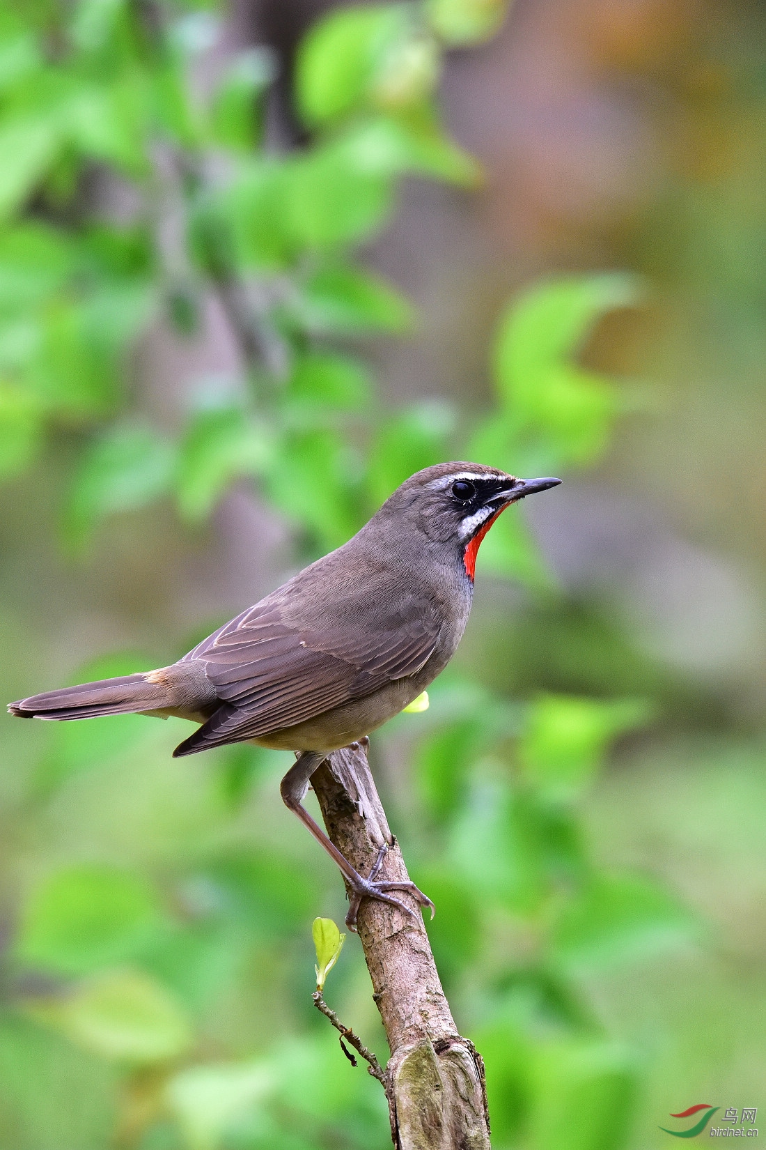 DSC_0048.JPG