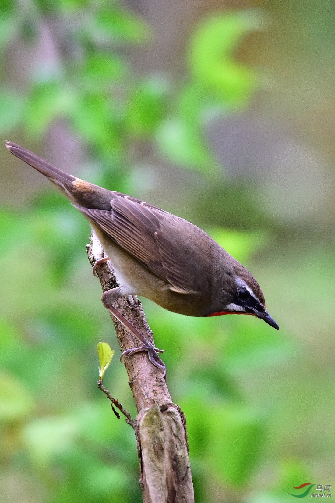 DSC_0057.JPG