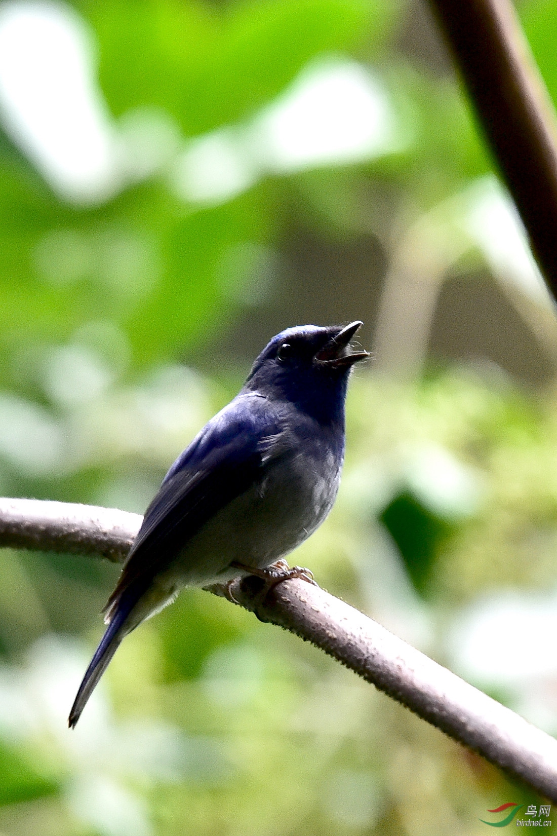 DSC_0059.JPG