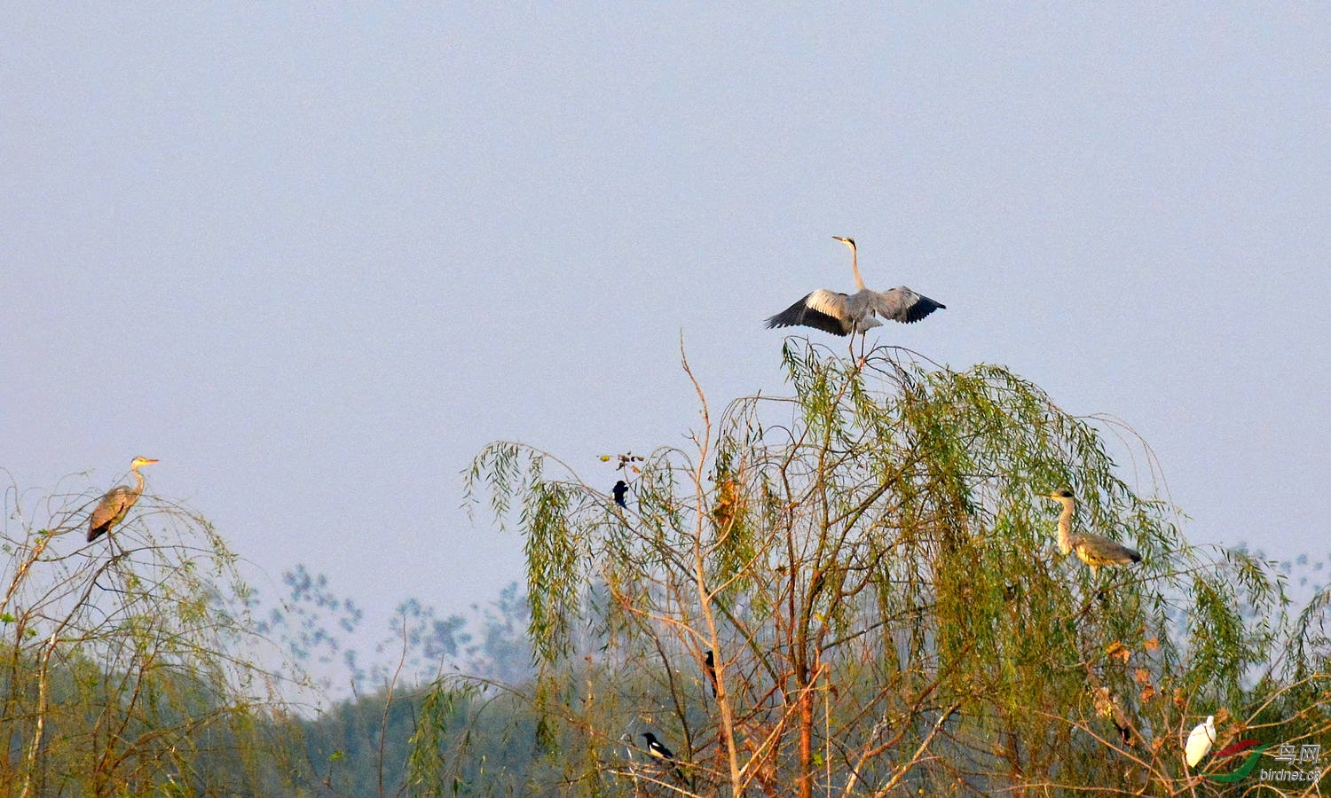 DSC_5530.JPG