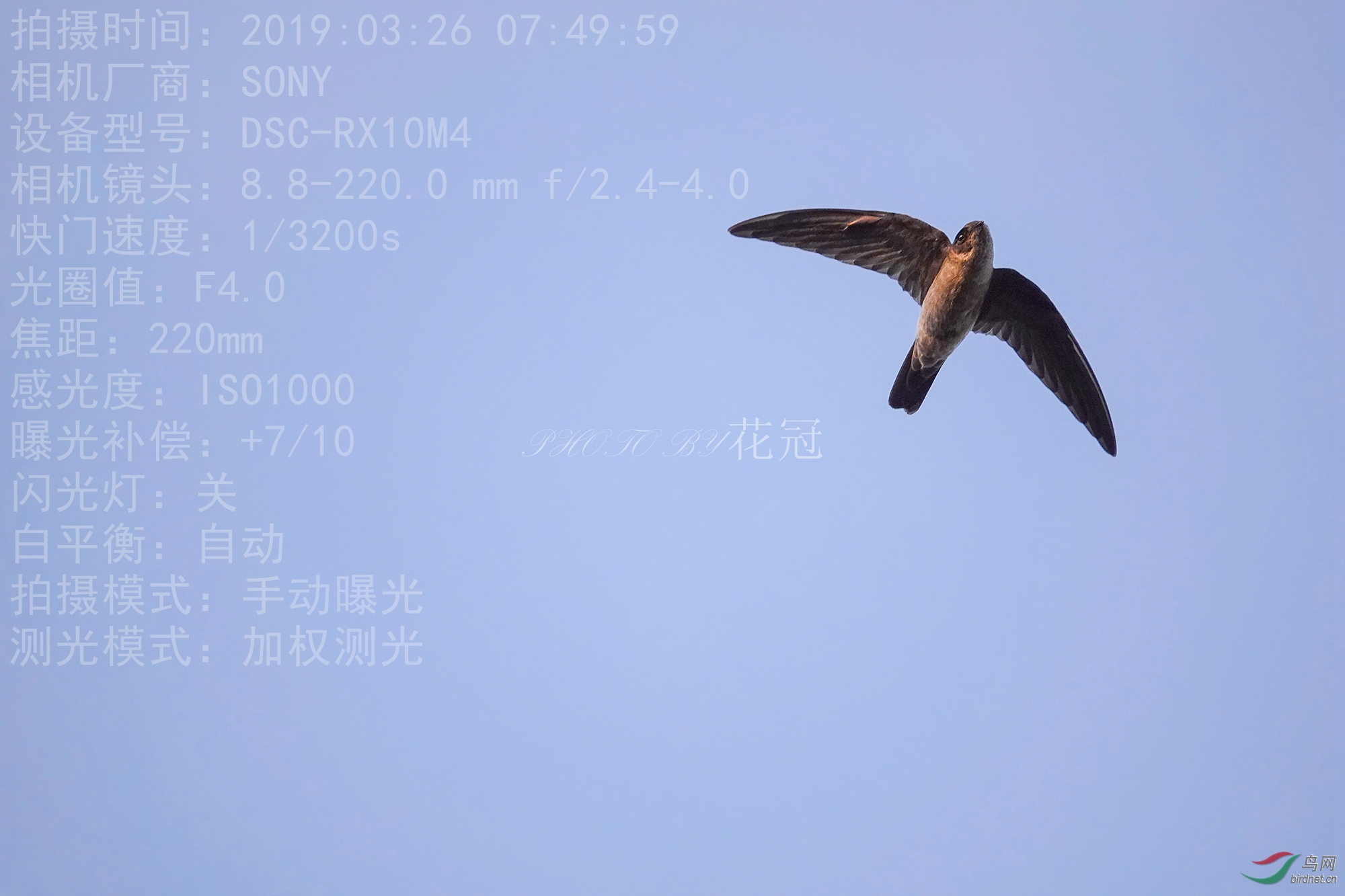 DSC03421B-1_����_����.jpg