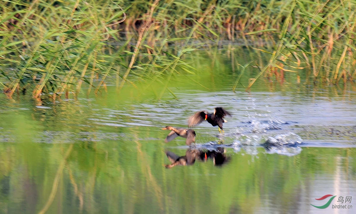 DSC_3142.JPG
