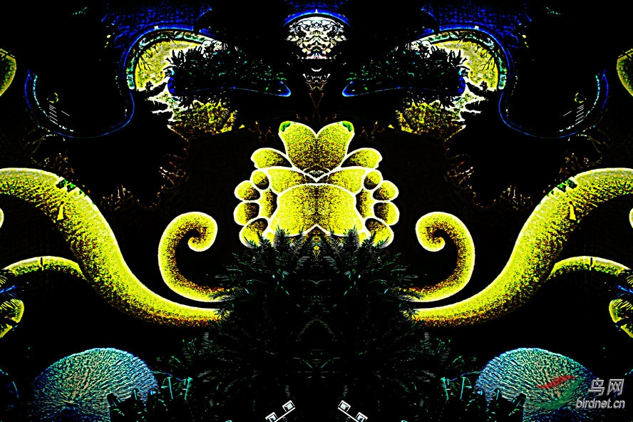 AQ1I8913_����_����1_����_����.jpg
