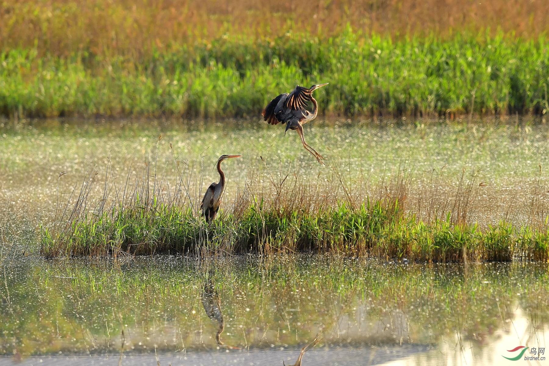 IYK_5964 ����_����.jpg