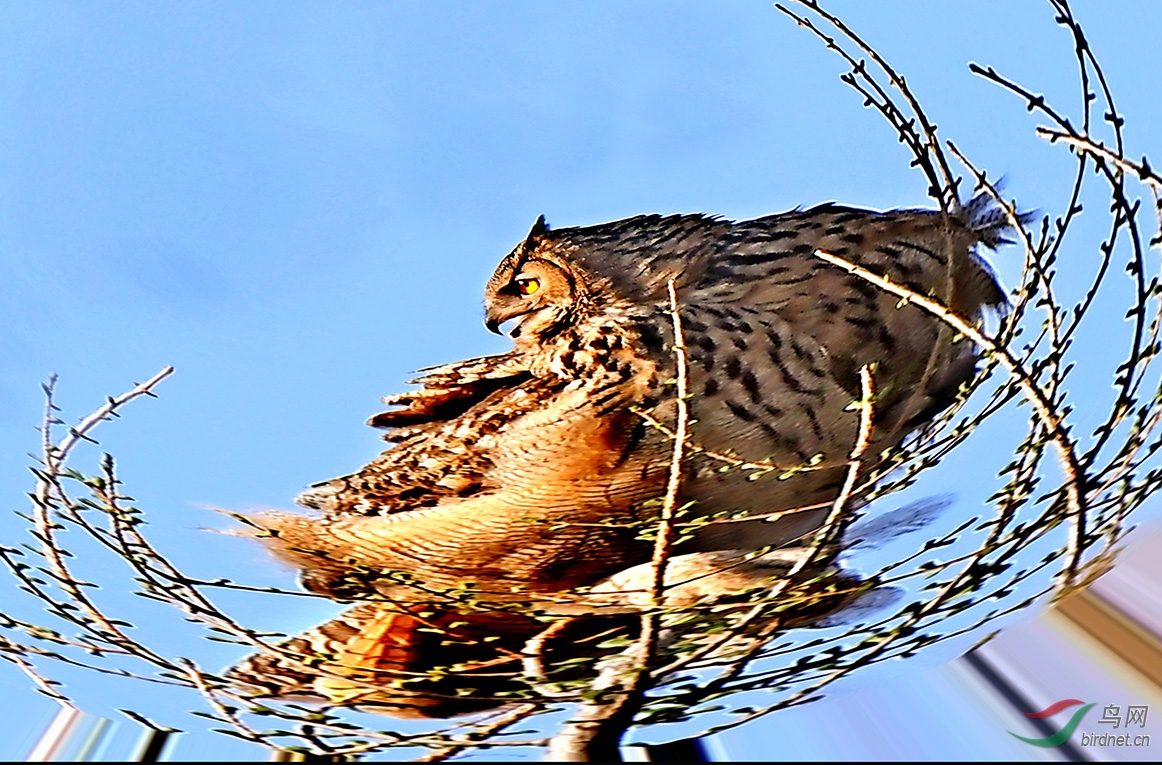 6.����(���{))4463AM.jpg