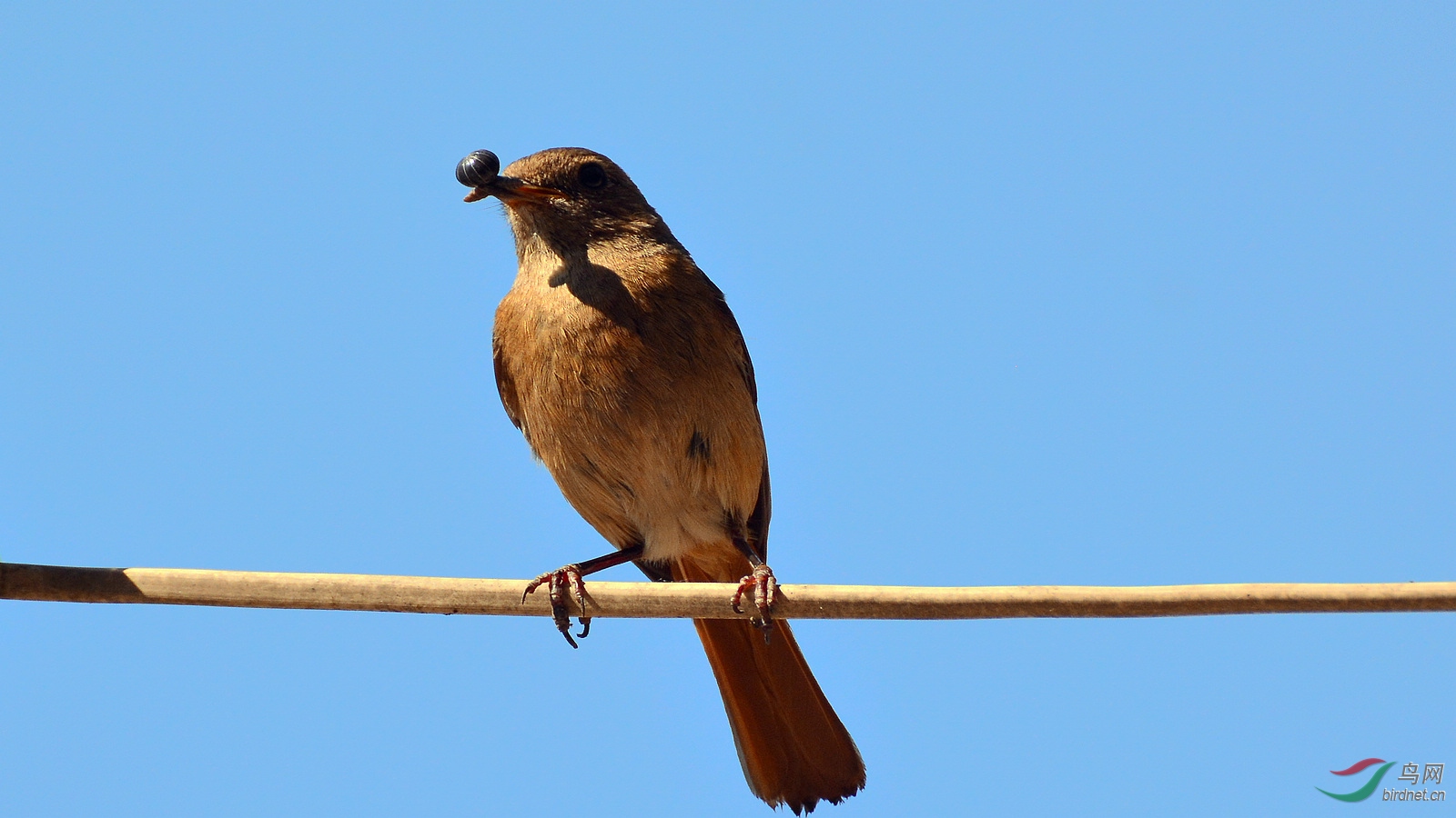 DSC_8431.JPG