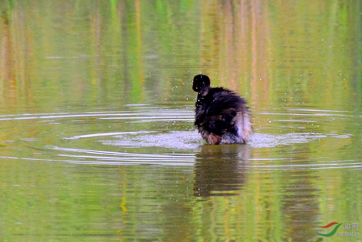 DSC_3315.JPG
