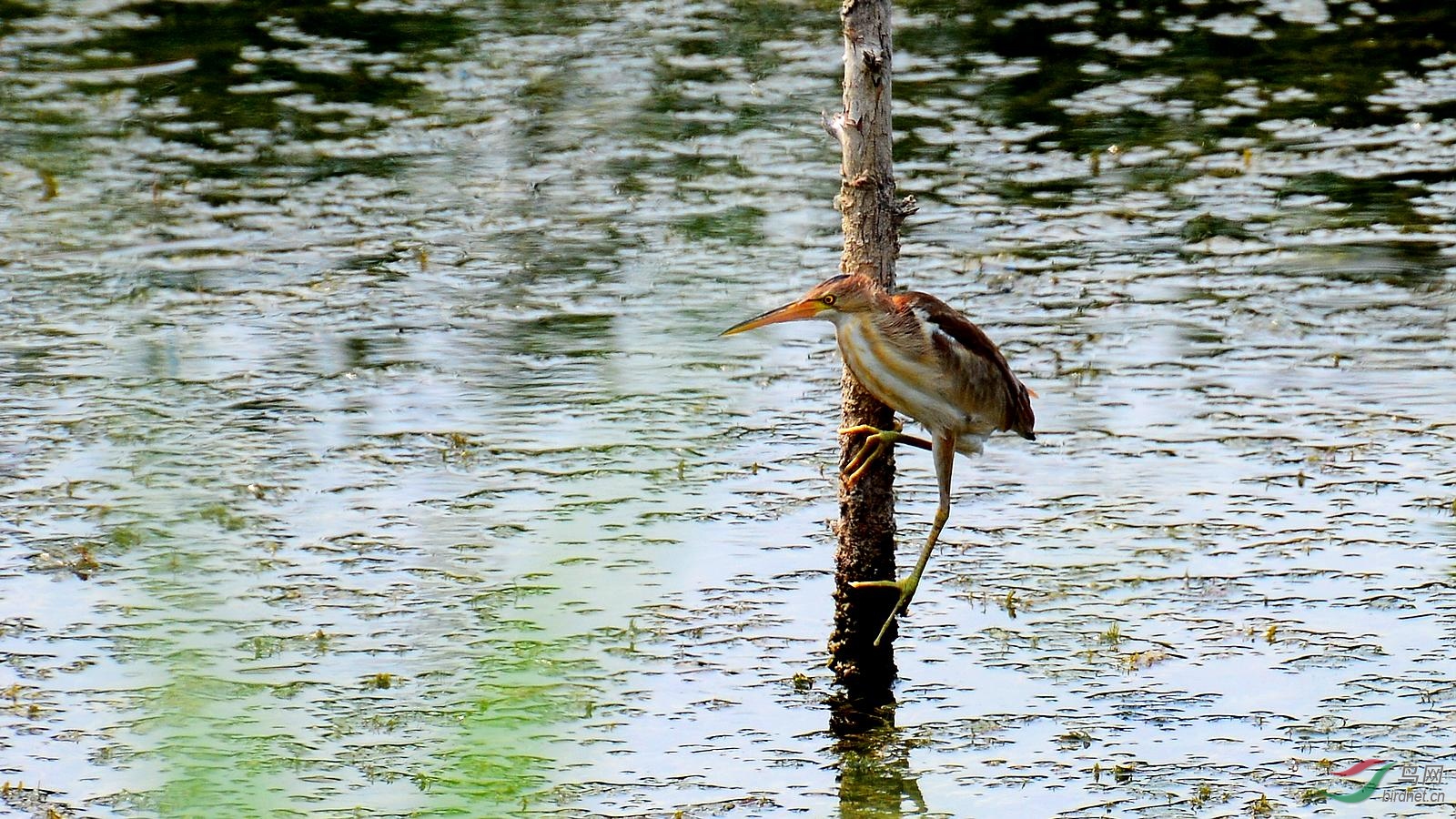 DSC_5735.JPG