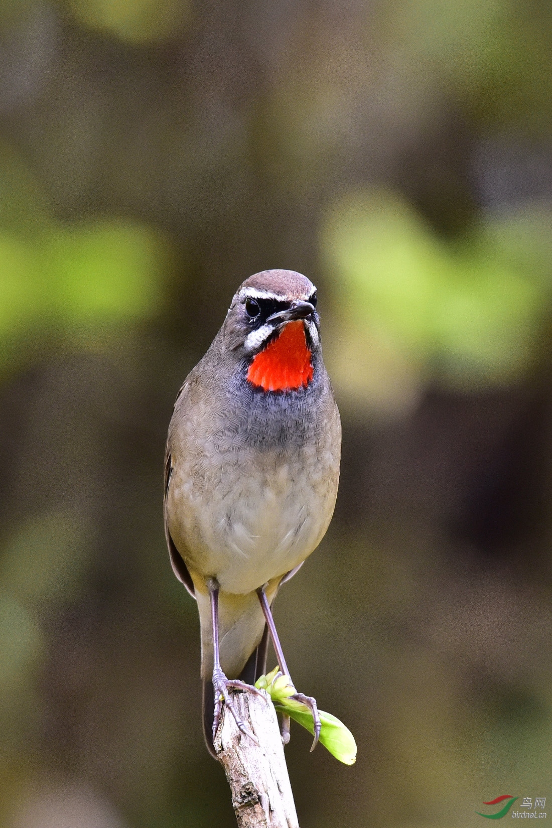 DSC_0097.JPG