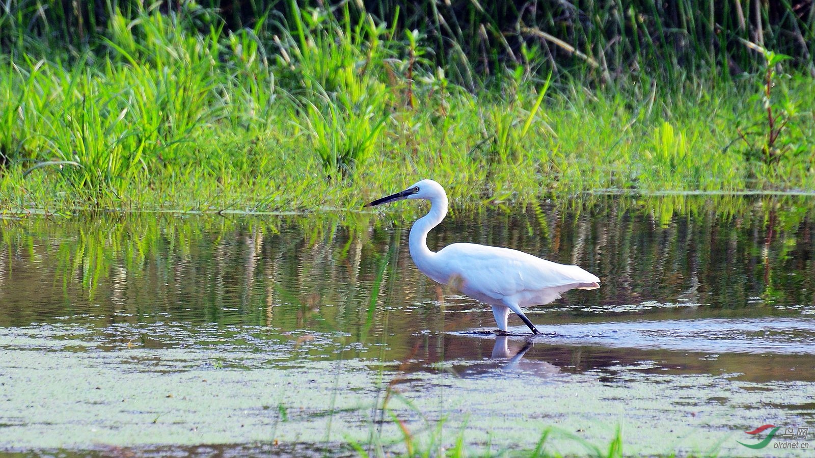 DSC_7087.JPG
