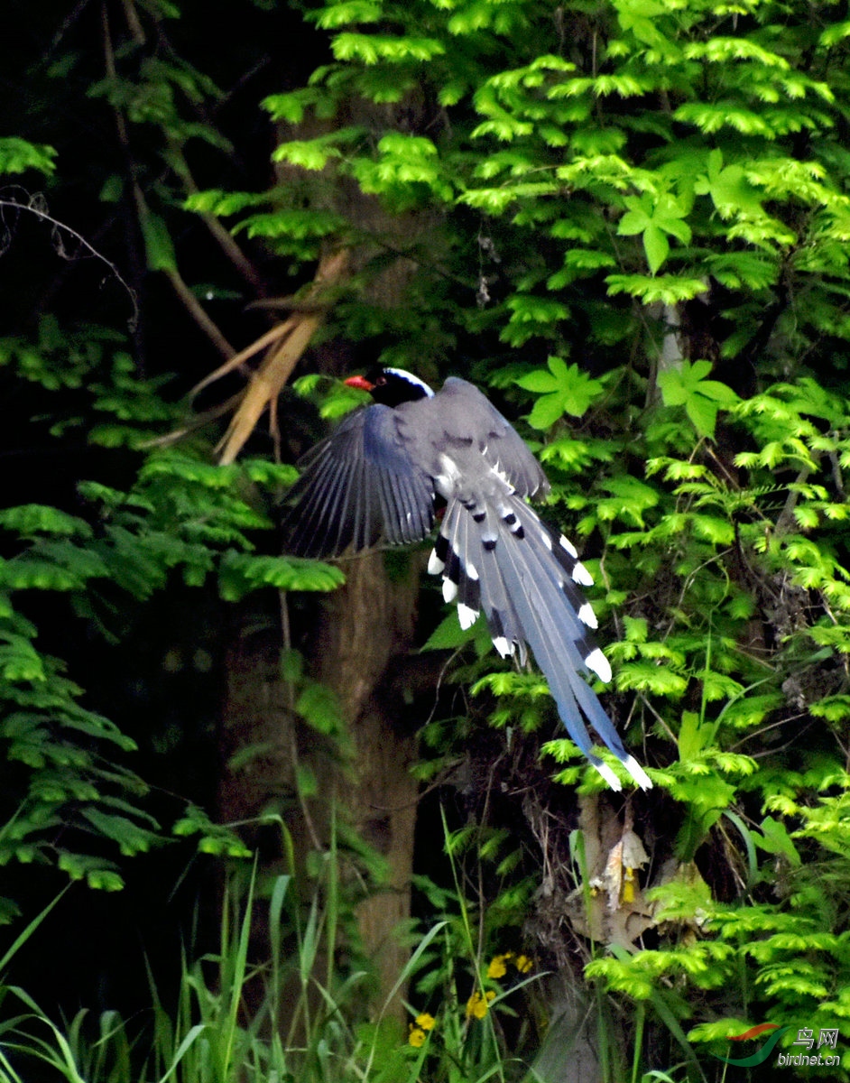 DSC_6721.JPG