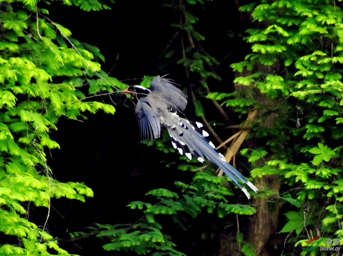 DSC_6722.JPG