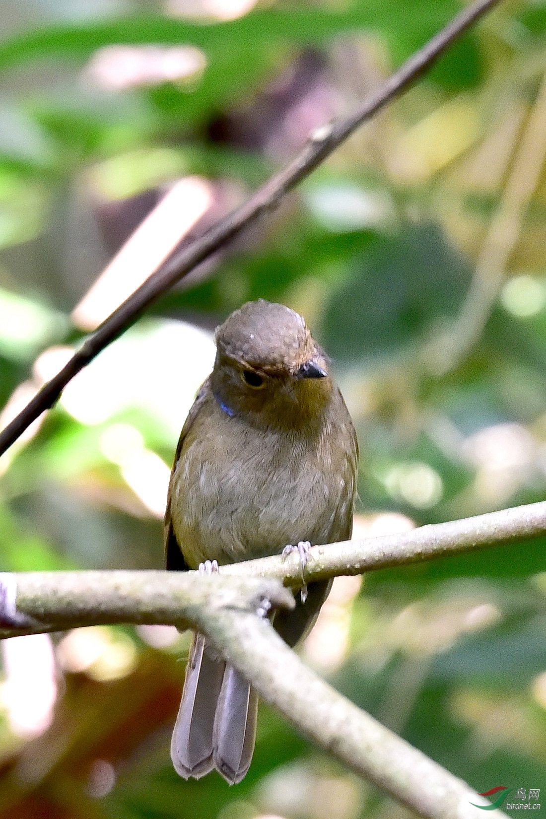 DSC_0090.JPG