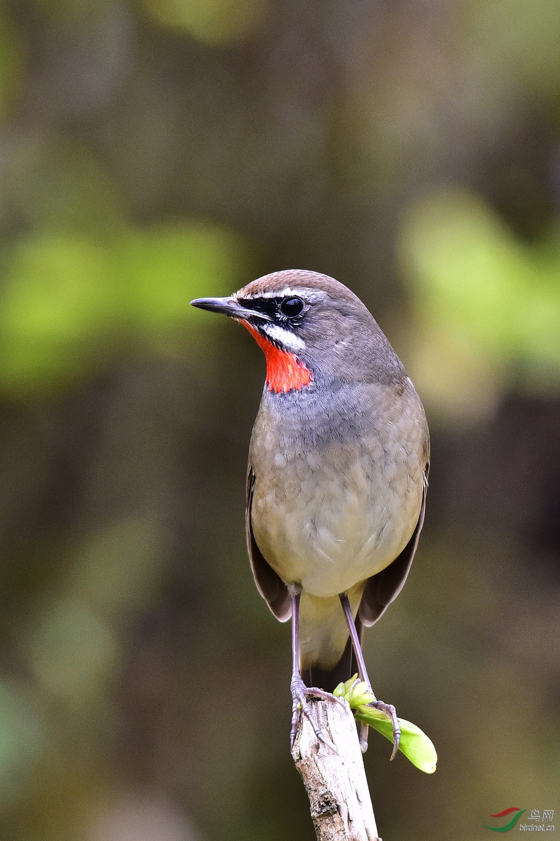 DSC_0099.JPG