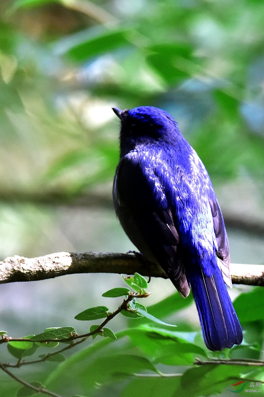 DSC_0101.JPG