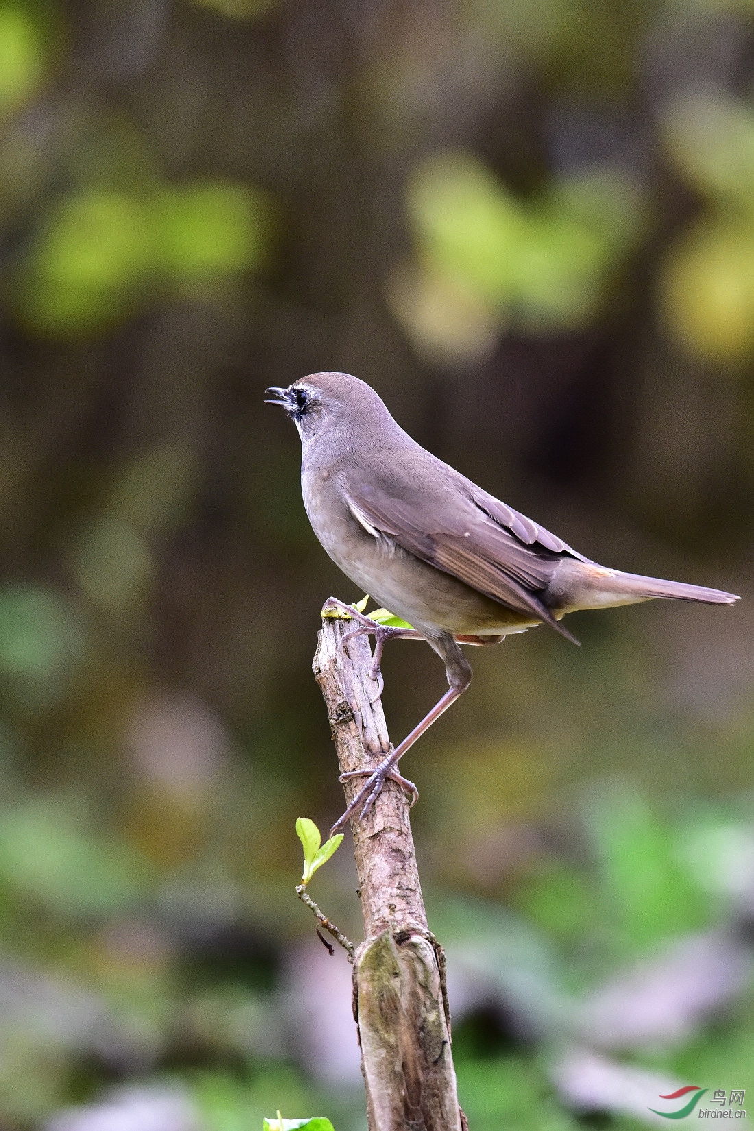DSC_0109.JPG