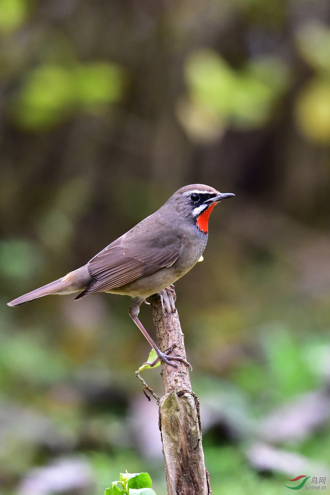 DSC_0112.JPG