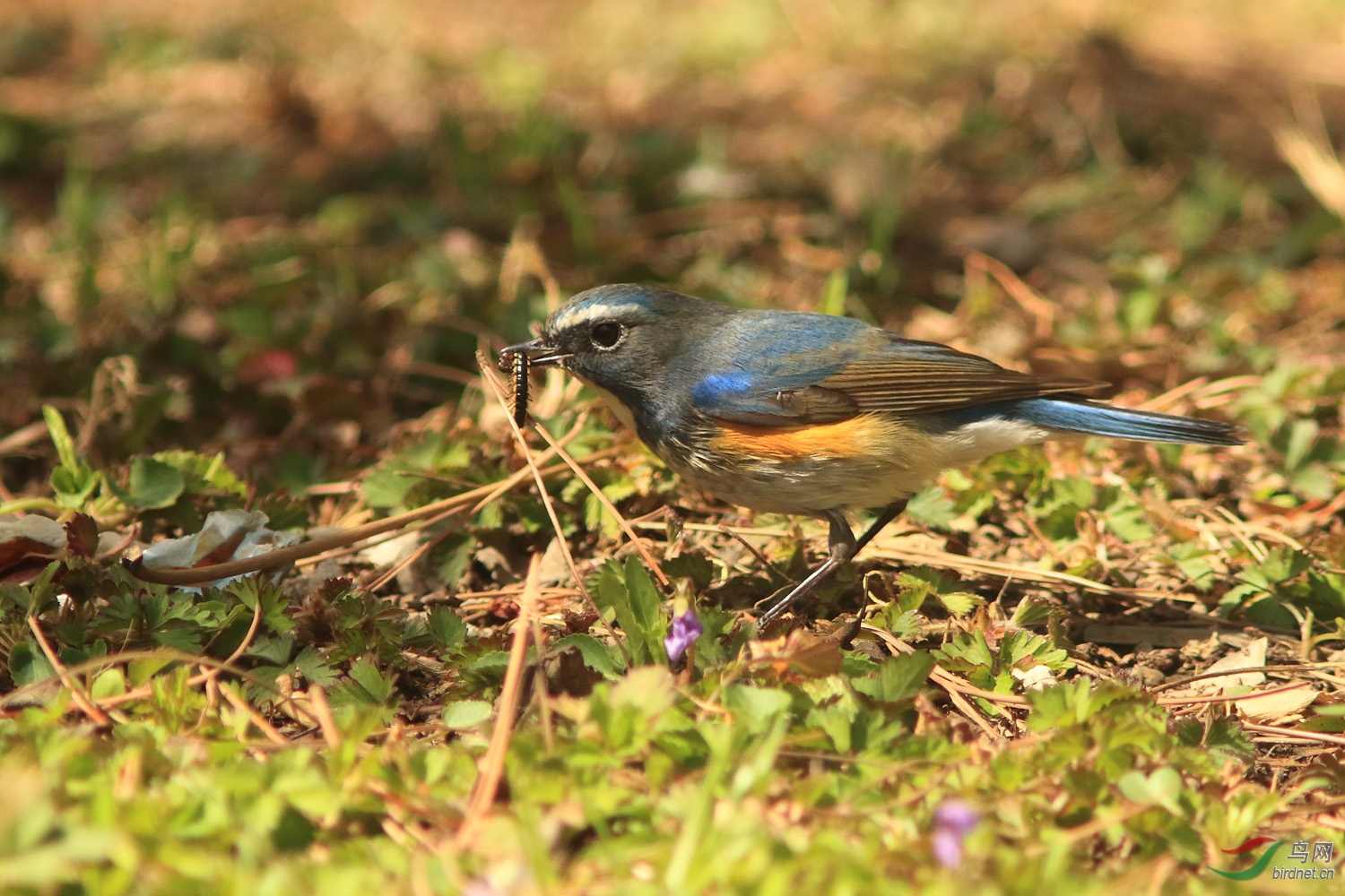 02��в��β�_55A3370 (2).JPG